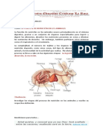 ciencias quinto