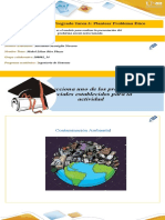 Tarea 3 Problema Social