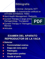 Determinacion de La Preñez