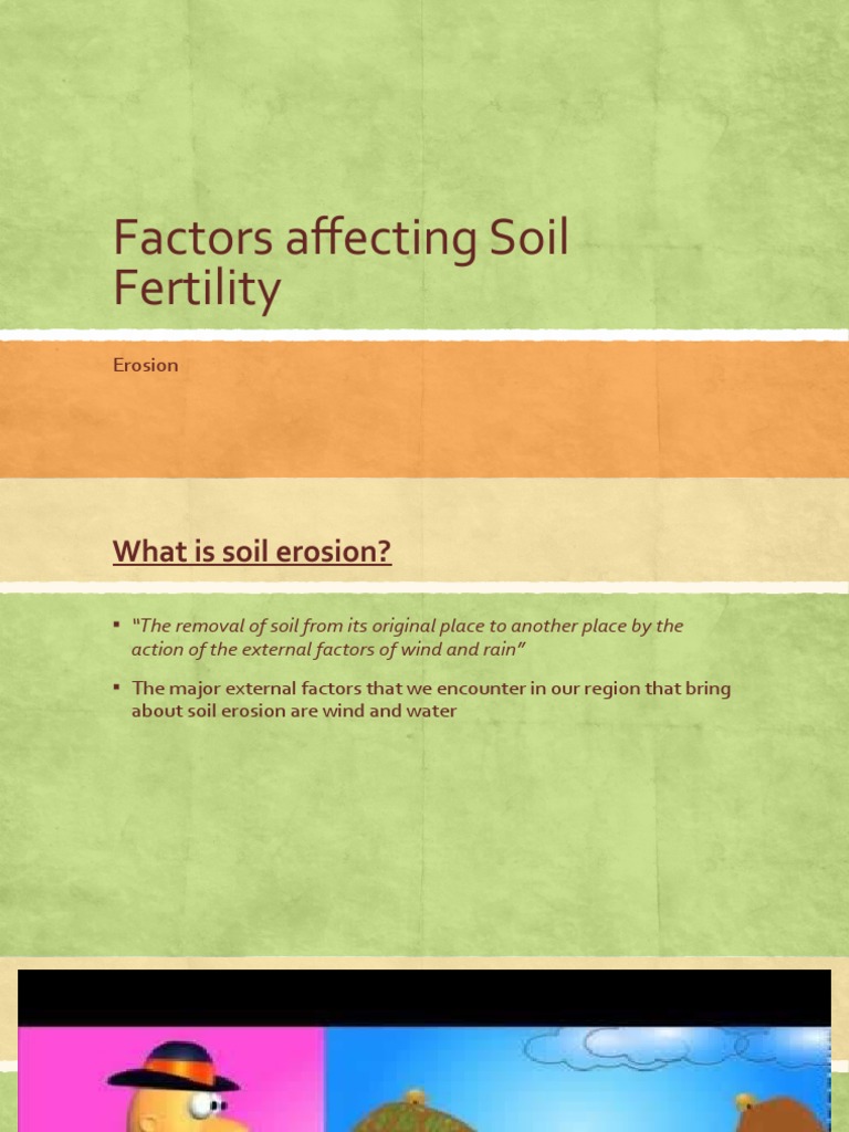Factors Affecting Soil Fertility PDF Erosion Mulch