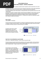 Financial Analysis Sample 5