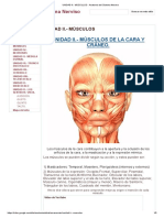 UNIDAD II. - MÚSCULOS - Anatomia Del Sistema Nerviso PDF