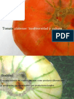 11_TomatePlatense.pdf