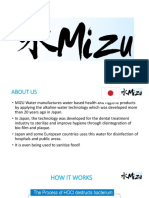 Mizu Japanese Santinizing Ipoh v4 PDF
