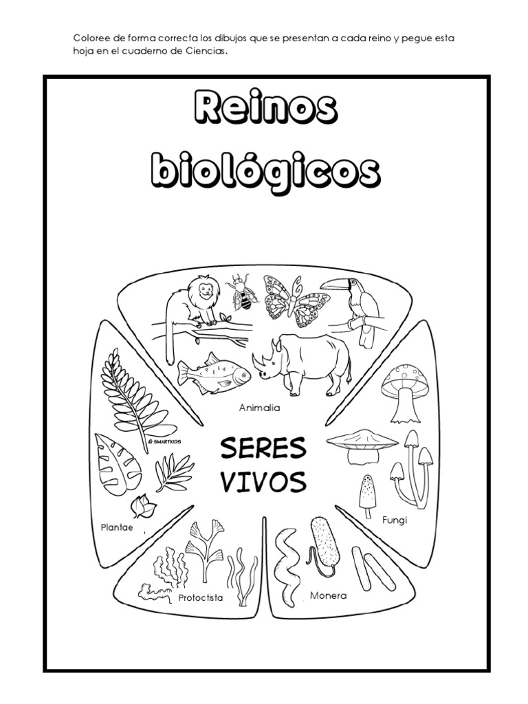 Ejercicios de Reinos Biológicos | PDF | Hogar, jardinería y bricolaje |  Ciencia y matemáticas