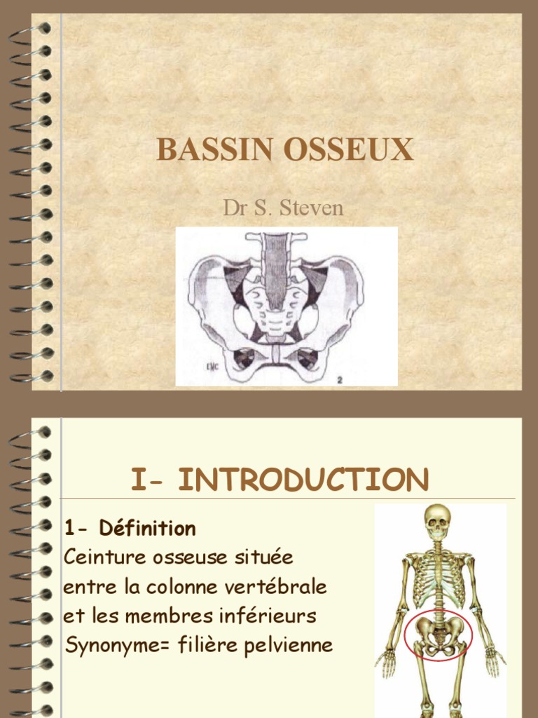 Définition  Bassin - Pelvis