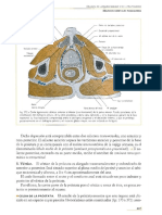 Archivo PDF.pdf