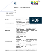 ESTRUCTURA DE LAS CÉLULAS PROCARIOTAS Trabajo en Clase #1