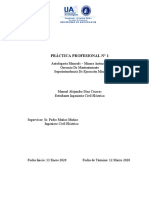 Informe Práctica Profesional - Manuel Díaz C.