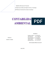  Contabilidad Ambiental