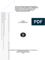 MSG PDF