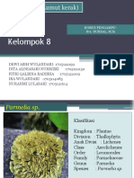 Lichens Kel 8