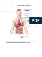 actividad didactica covid-19 -.pdf