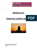 Modulo 3 Terapias Cuerpo Mente PDF