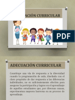 Adecuación Curricular