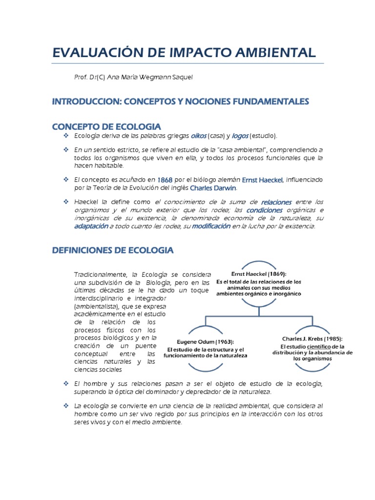 Evaluacion de Impacto Ambiental en ERAS | PDF | Ecosistema | Entorno ...