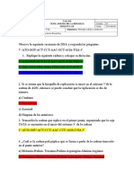 Secuencia DNA preguntas replicación transcripción traducción