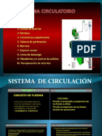Sistema  de Circulación.pptx