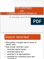 Sistem Ventrikel