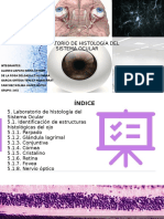 tema 5- laboratorio de histología ocular