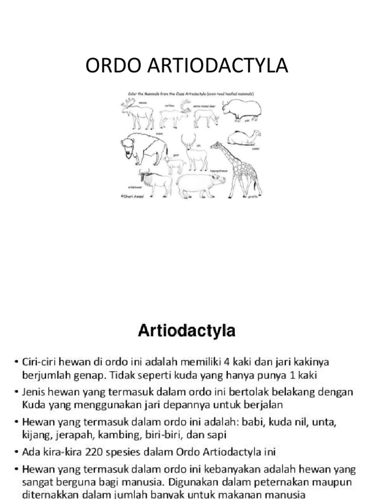 Artiodaktillar