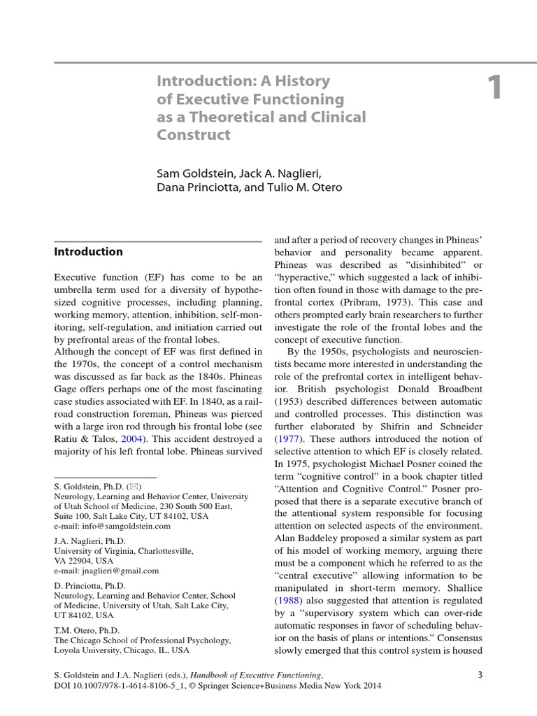 Goldstein et al 2014 introduction a history of ef as a theoretical