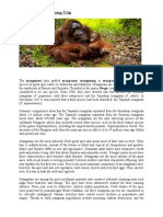 The Article About Orang Utan.docx