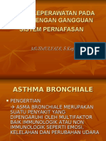 Asthma Bronchiale. Musz