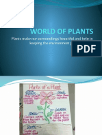World of Plants (Urooj)