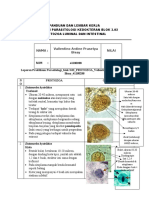 PROTOZOA LUMINAL DAN INTESTINAL