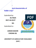 "Morphological Characteristics of Fodder Crops": Submitted by