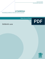 Stillbirth Care: Maternity and Neonatal Clinical Guideline