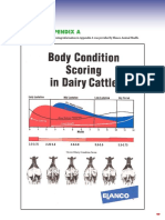 Body_condition_scoring.pdf