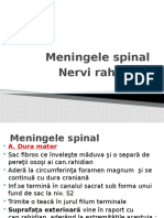 Meningele Spinal