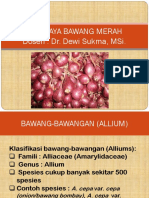 Budidaya Tanaman Bawang Merah