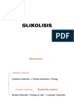05 Glikolisis
