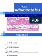Tejidos Fundamentales PDF