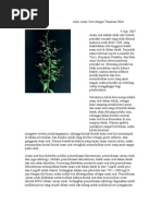 Download ARTIKEL ASAM URAT by Etty Ajah SN45861285 doc pdf