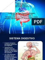 Trastorno Del Tubo Digestivo Delgado