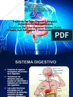 Función digestiva y sus trastornos más comunes