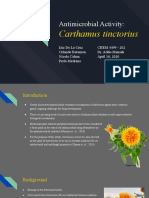 Antimicrobial Activity: Carthamus Tinctorius
