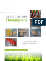 Je Cultive Mes Champignons