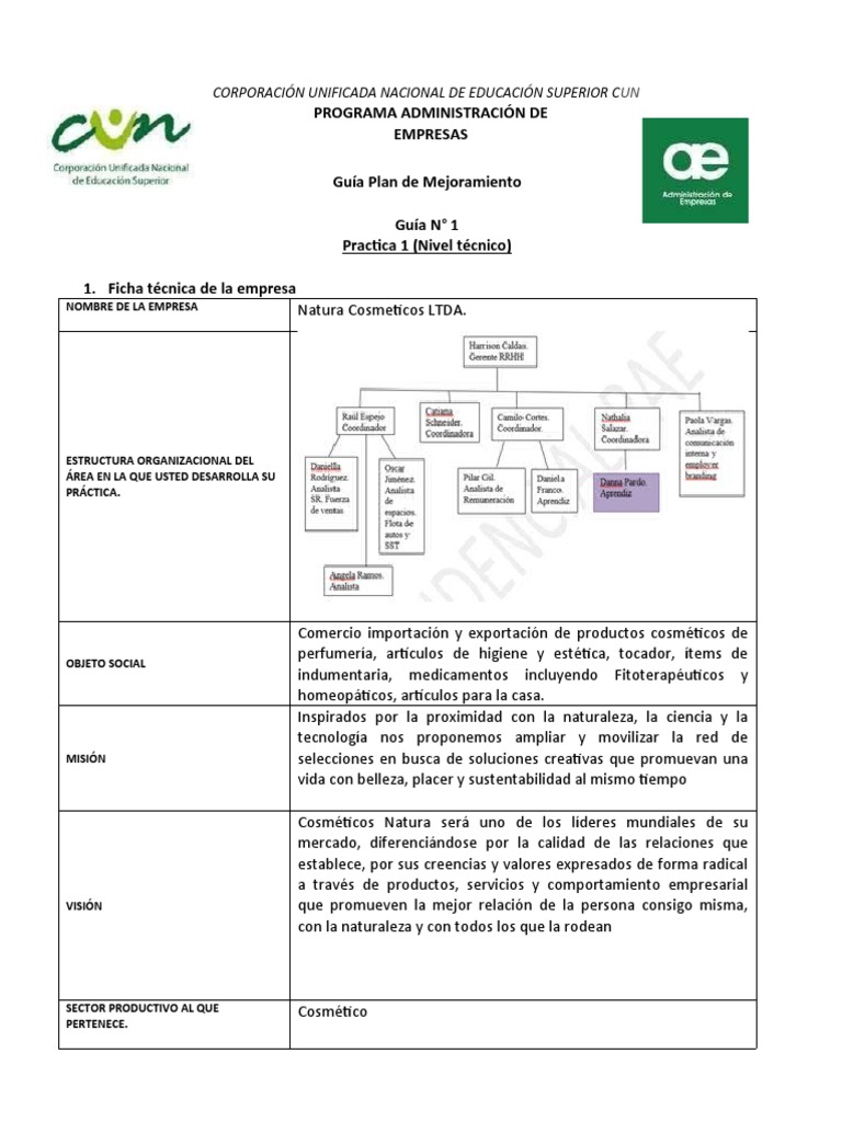 Propuesta de Plan de Mejora Empresarial | PDF | Análisis FODA | Business