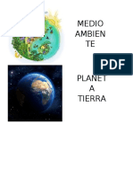 Qué es el Medio Ambiente