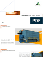 TWR-Caldera de Vapor 80 Ton PDF