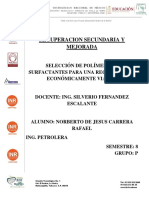 RSYM Inyeccion de polimeros.pdf