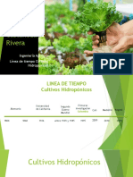 Culivos Hidroponicos Linea de Tiempo Jennifer Castañeda Rivera 1410024 Ing Agricola 1 PDF