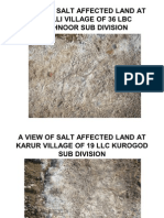 A View of Salt Affected Land at Hosalli