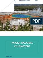 Yellowstone: naturaleza y actividad volcánica
