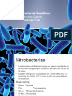 Bacterias Benéficas-3 MVE C - Quiroga Ruiz